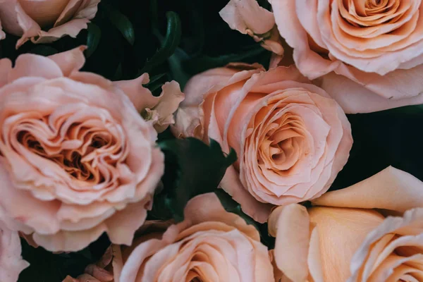 Rosenschimmer Einer Vase Auf Dem Tisch — Stockfoto