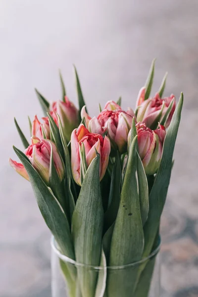 Rote Tulpe Einer Glasvase Auf Dem Tisch — Stockfoto