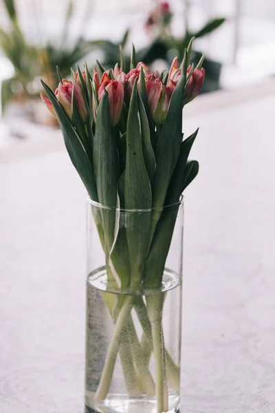 Red tulip in a glass vase on the table.