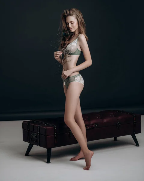 Vacker Flicka Poserar Underkläder Med Fjädrar — Stockfoto