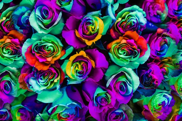 Ramo Rosas Multicolores Rosa Arco Iris — Foto de Stock