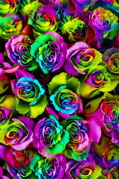 bouquet of multi-colored roses (Rainbow rose)