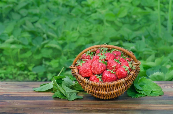 Căpșuni Fundal Rustic Din Lemn Coș Mic Plin Căpșuni Locul — Fotografie, imagine de stoc