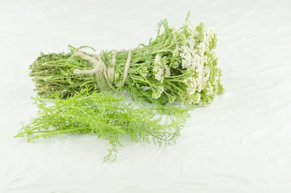 Yarrow Blomma Eller Achillea Millefolium Ett Träbord Vit Rölleka Blossom — Stockfoto