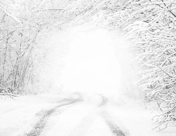 Svart Och Vitt Vinterlandskap Svart Och Vit Vinter Fotografi Snöstorm — Stockfoto
