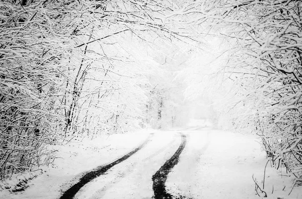 Snowy Zmrazené Zimní Silnici Stopy Pneumatik Sněhu Les Plískanice Monochromatický — Stock fotografie