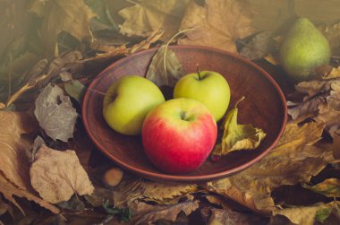 Olgun kırmızı ve yeşil elma kase doğal zemin üzerine. Elma kuru sonbahar ahşap zemin üzerine bırakır