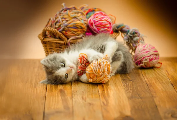 Een Leuk Schattig Katje Speelt Met Bal Van Wol Portret — Stockfoto