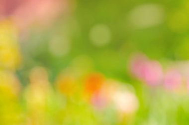  Sonbahar doğal bokeh zemin. Güzel sonbahar arka plan bulanık. Güneşli ışınları ile sonbahar güzel arka plan