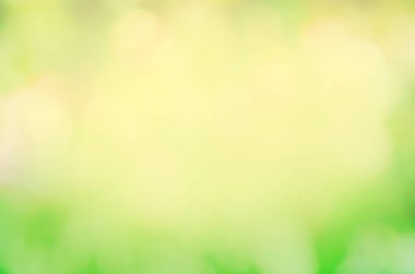 Taze yeşil biyo soyut arka plan bulanık. Bahar ya da yaz doğa arka plan