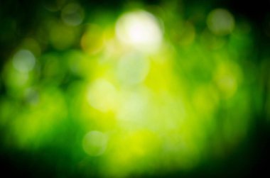 Boş bulanık şehir park arka plan. Yeşil arka plan bulanık. Doğal yeşil arka plan