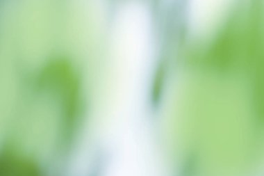 Yeşil bokeh arka plan. Ufuk yeşil arka plan. Yeşil Doğa Parkı bulanıklık. Güneşli yeşil doğa arka plan