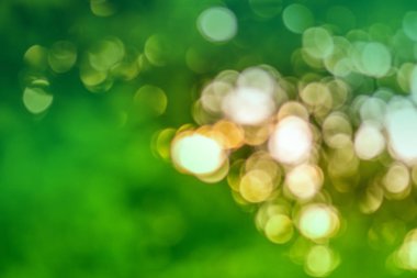 Bokeh doğa arka plan için bırakır. Doğal bokeh bulanık. Bokeh ışık arka plan. Yeşil bokeh arka plan. Ufuk yeşil arka plan