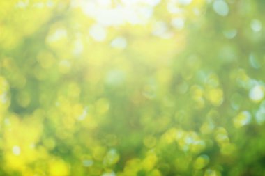 Bokeh doğa arka plan için bırakır. Doğal bokeh bulanık. Bokeh ışık arka plan. Yeşil bokeh arka plan. Ufuk yeşil arka plan