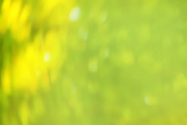 Abstract Green Bokeh Background Summer Sunlight Natural Bokeh Leaves Bokeh — Stock Photo, Image