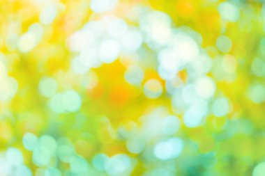 Düşen yaprakları doğal bokeh arka plan. Güneşli soyut doğa arka plan. Güzel güneş ışığı bokeh sonbahar arka plan