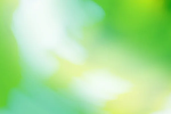 Зелений Фон Боке Дефокусований Абстрактний Зелений Фон Розмитий Зелений Парк — стокове фото