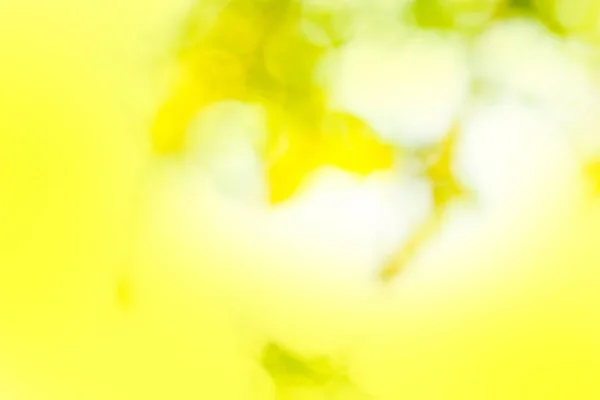 Осінній Ліс Боке Осінній Абстрактний Фон Падіння Листя Природного Фону — стокове фото