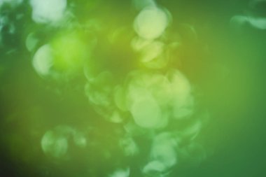 Boş bulanık şehir park arka plan. Yeşil arka plan bulanık. Doğal yeşil arka plan