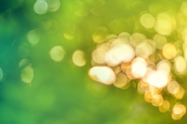 Bokeh doğa arka plan için bırakır. Doğal bokeh bulanık. Bokeh ışık arka plan. Yeşil bokeh arka plan. Ufuk yeşil arka plan