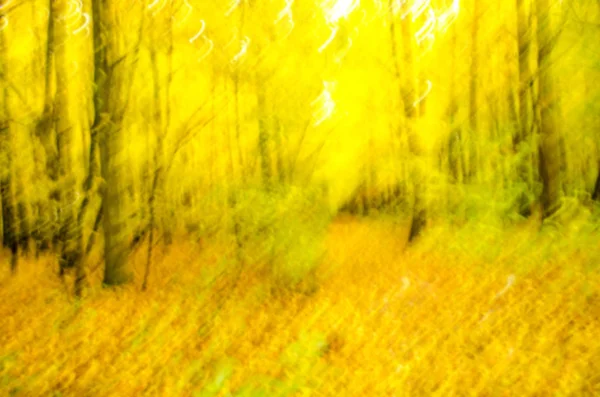 Κίτρινη Διαγώνια Κίνηση Θολούρα Υφή Φόντου Φυσικό Πορτοκαλί Bokeh Φωτεινά — Φωτογραφία Αρχείου