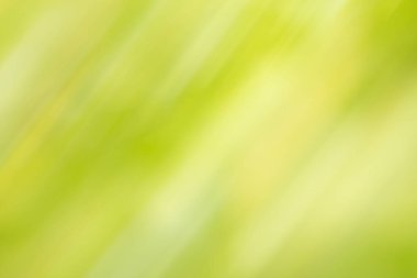 Soyut Yeşil bokeh hareketli arka plan. Hareketli ışık bokeh arka plan.