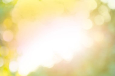 Sıcak altın doğa arka plan bulanık. Sonbahar Orman bokeh arka plan bulanık