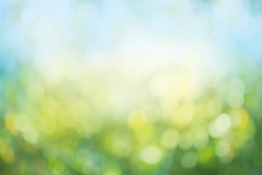 Soyut Yeşil bokeh arka plan. Yaz güneş ışığı doğal bokeh. Bokeh doğa arka plan için bırakır. Doğal bokeh bulanık.