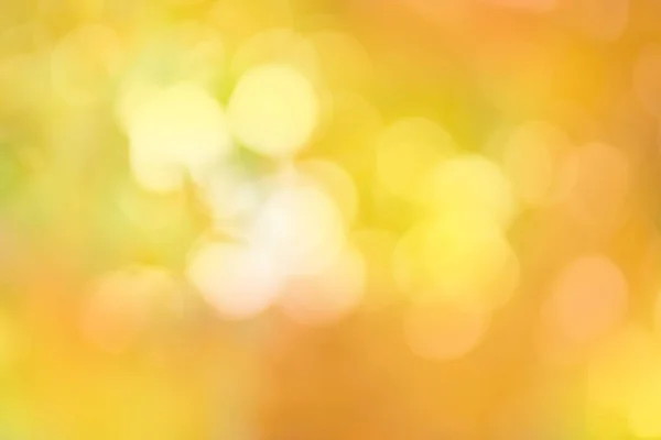 Осіннє Осіннє Листя Розмите Тло Розмита Яскрава Осінь Барвистий Боке — стокове фото