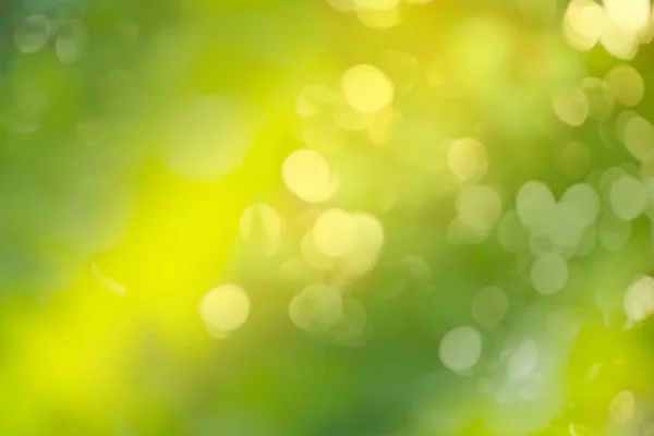 Зелений Розмитий Елегантний Абстрактний Фон Зелений Фон Боке Абстрактний Фон — стокове фото