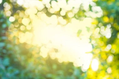  Bokeh ışık arka plan. Yeşil bokeh arka plan. Ufuk yeşil arka plan