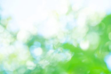 Bokeh doğa arka plan için bırakır. Yeşil bokeh arka plan. Ufuk yeşil arka plan