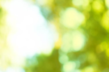 Bokeh doğa arka plan bahar ya da yaz soyut. Doğal bulanık bokeh.