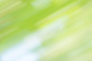 Soyut Yeşil bokeh hareketli arka plan. Hareketli ışık bokeh arka plan.