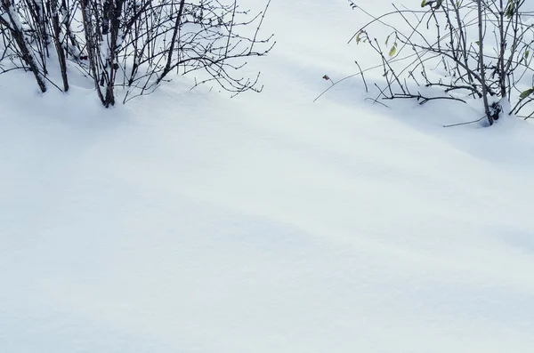 Pozadí Čerstvého Sněhu Přirozené Zimní Pozadí Snow Textura Modrém Tónu — Stock fotografie