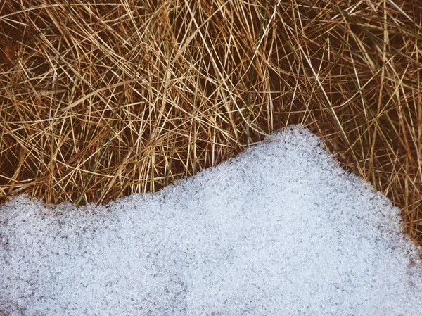 雪的质地在干草上融化 白雪的纹理 冬季背景与融化雪漂移 — 图库照片