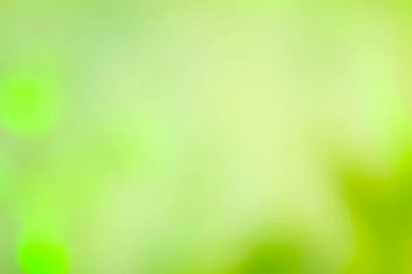Естественный Зеленый Размытый Фон Абстрактный Размытый Зеленый Природный Фон — стоковое фото