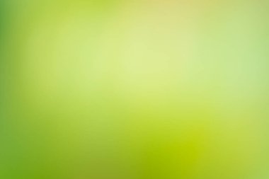 Yeşil arka plan bulanık. Yeşil bokeh odak yeşillik arka plan dışarı. Taze yeşil biyo soyut arka plan bulanık.