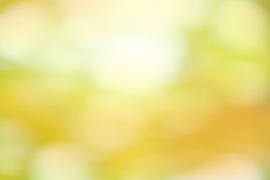 Güneşli soyut doğa arka plan. Güzel güneş ışığı bokeh sonbahar arka plan