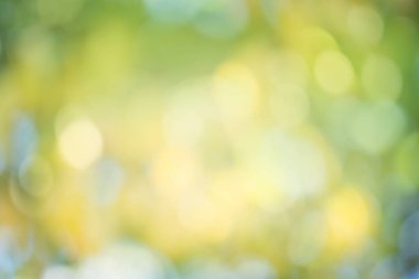Soyut Yeşil bokeh arka plan. Yaz güneş ışığı doğal bokeh. Bokeh doğa arka plan için bırakır. Doğal bokeh bulanık.