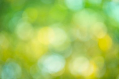 Yeşil bokeh arka plan. Ufuk yeşil arka plan. Yeşil Doğa Parkı bulanıklık. Güneşli yeşil doğa arka plan