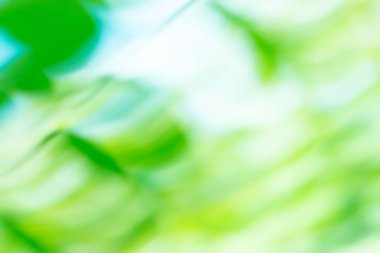 Soyut bokeh arka plan. Soyut Yeşil hareket bulanıklığı arka plan 