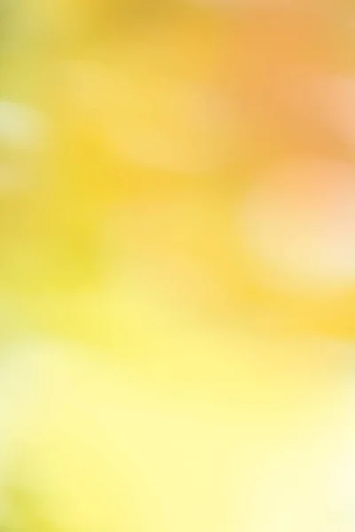 Zonnige Abstracte Aard Achtergrond Mooie Zonlicht Bokeh Herfst Achtergrond — Stockfoto