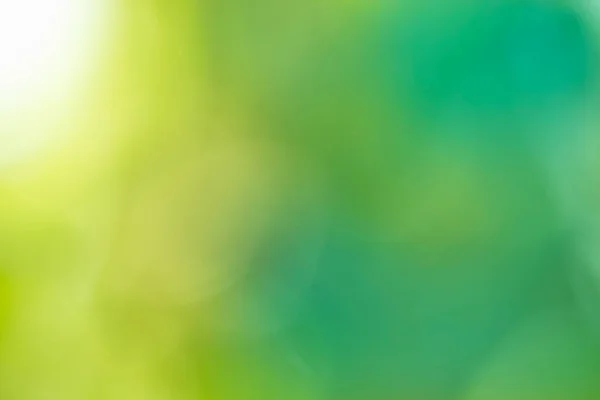 Abstract Green Bokeh Achtergrond Zomer Zonlicht Natuurlijke Bokeh Bladeren Bokeh — Stockfoto