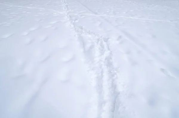 Zimní Krajina Pod Sněhem Pozadí Čerstvého Sněhu Sněžení Textury Pozadí — Stock fotografie