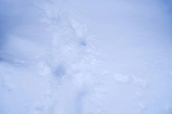 Fundo Neve Inverno Com Espaço Livre Para Sua Decoração Belo — Fotografia de Stock