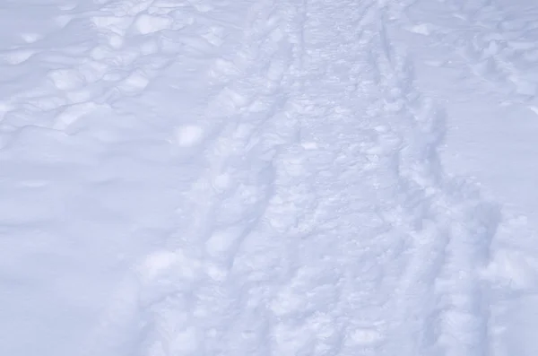 Fundo Neve Inverno Com Espaço Livre Para Sua Decoração Belo — Fotografia de Stock
