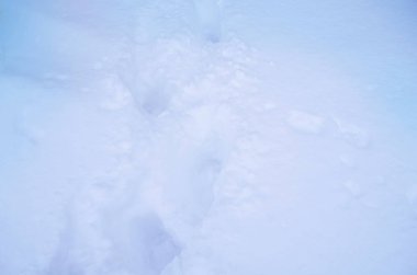 Taze kar doku arka plan. Kar dokulu arka plan. Taze kar arka plan kopya alanı ile