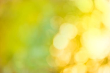  Sonbahar sonbahar yaprakları arka plan bulanık. Bulanık parlak sonbahar renkli bokeh.