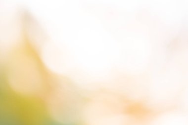 Bulanık Pembe çiçek arka plan. Rüya gibi çiçek arka plan. Bulanık renk doğa arka plan